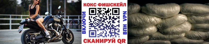 Cocaine Fish Scale ОМГ ОМГ зеркало Ясный