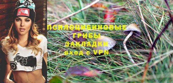 apvp Алексеевка