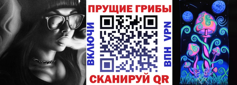 Галлюциногенные грибы Magic Shrooms  закладки  Ясный 